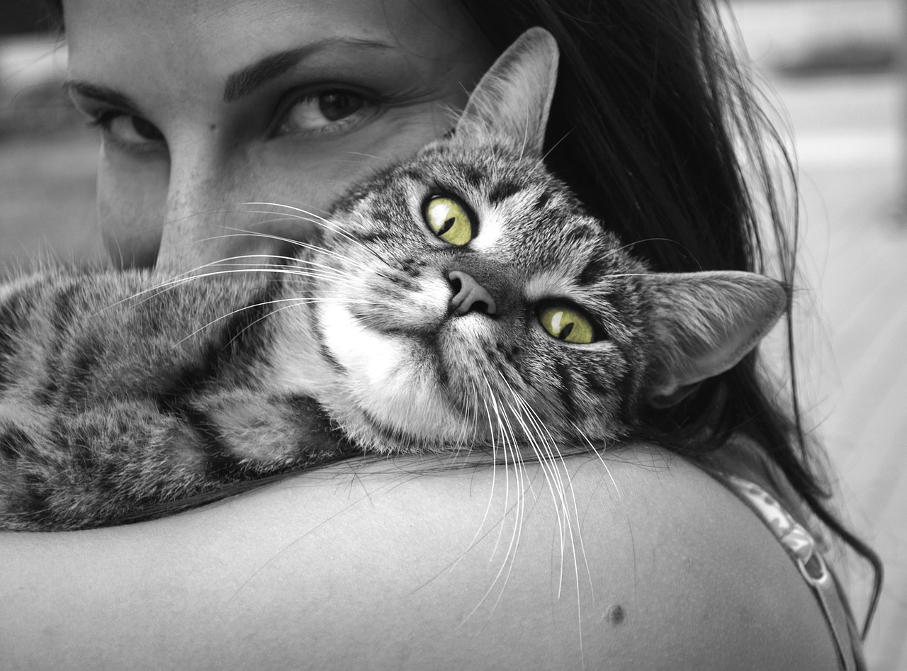 black and white lady cuddling cat